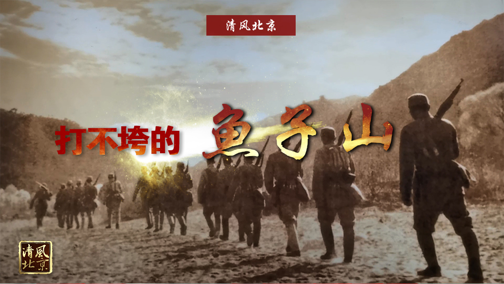 打不垮的鱼子山.jpg