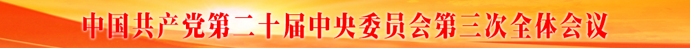 中国共产党第二十届中央委员会第三次全体会议