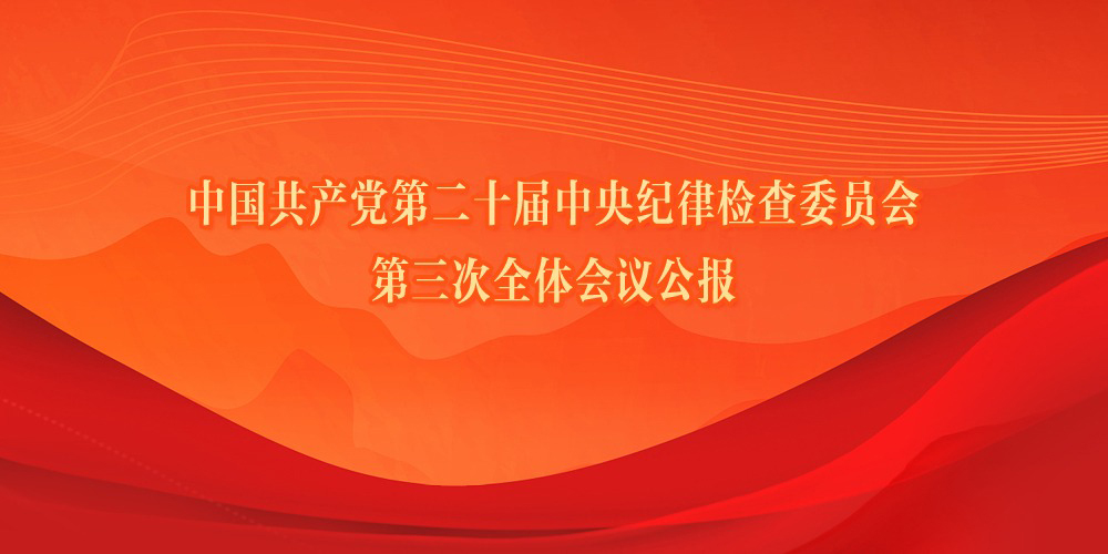 中国共产党第二十届中央纪律检查委员会第三次全体会议公报