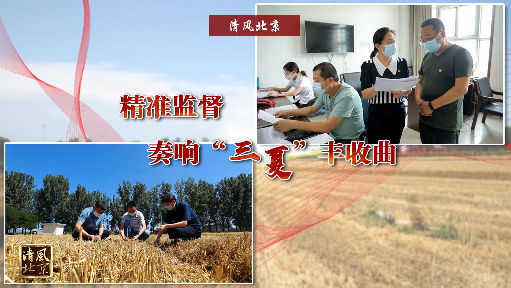 精准监督 奏响“三夏”丰收曲.jpg