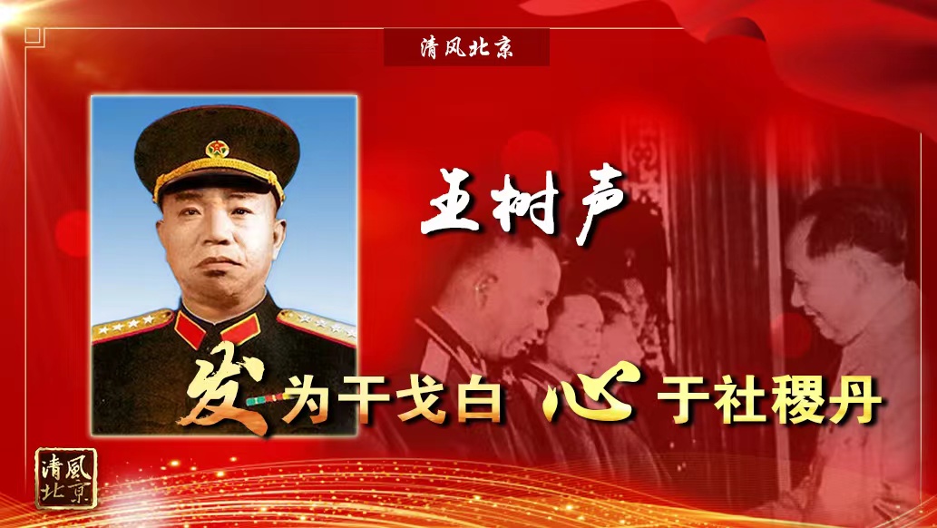 王树声 发为干戈白 心于社稷丹.jpg