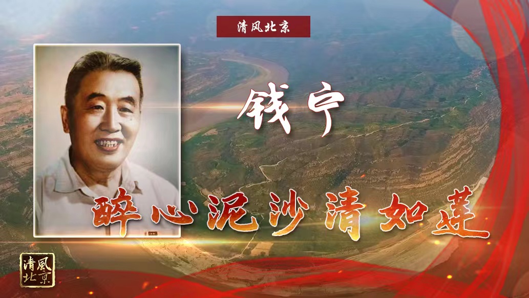 钱宁 醉心泥沙清如莲.jpg